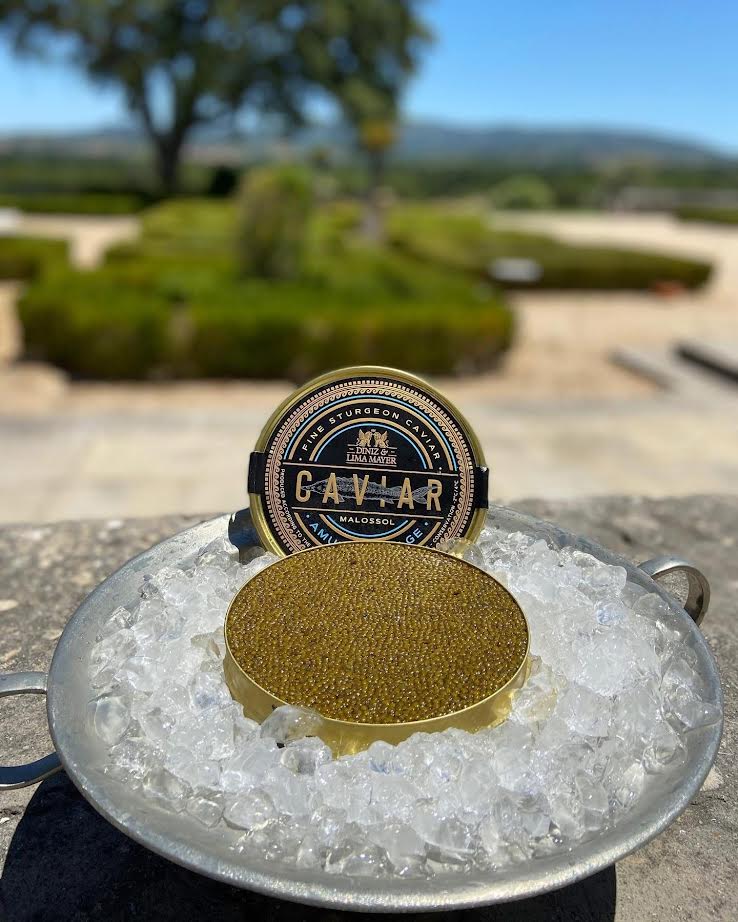 Lata Caviar Diniz & Lima Mayer com jardim ao fundo